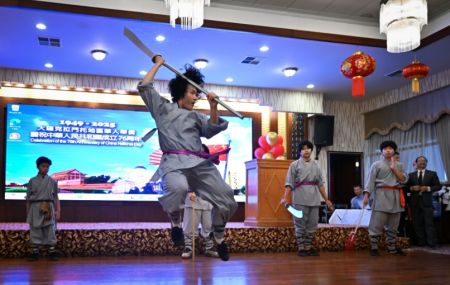中国传统武术《少林功夫》