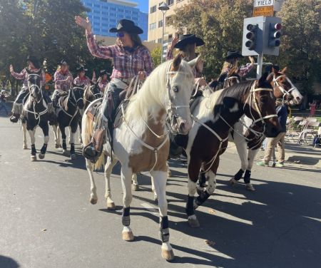 英姿勃发的福森骑兵表演队 英姿勃发的福森骑兵表演队