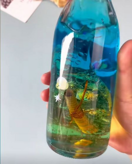 喝完的饮料瓶不要扔，做漂亮的海洋浮游瓶!