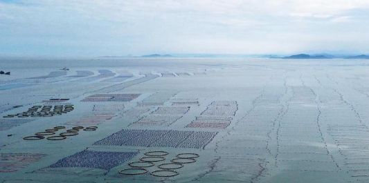 2025年中国海洋生产总值同比增长5.5%